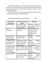 Referāts 'Uzņēmuma reklāmas politikas veidošana', 17.