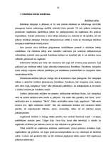 Referāts 'Uzņēmuma reklāmas politikas veidošana', 26.