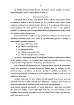 Referāts 'Uzņēmuma reklāmas politikas veidošana', 30.