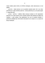 Referāts 'Uzņēmuma reklāmas politikas veidošana', 41.