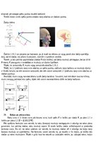 Konspekts 'Atbildes par medicīnas fiziku', 20.