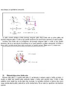 Konspekts 'Atbildes par medicīnas fiziku', 21.