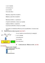 Konspekts 'Atbildes par medicīnas fiziku', 28.