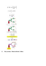 Konspekts 'Atbildes par medicīnas fiziku', 30.