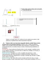 Konspekts 'Atbildes par medicīnas fiziku', 33.