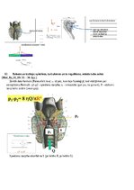 Konspekts 'Atbildes par medicīnas fiziku', 48.