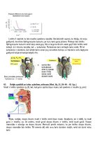 Konspekts 'Atbildes par medicīnas fiziku', 49.