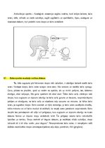 Konspekts 'Atbildes par medicīnas fiziku', 52.