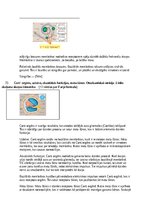 Konspekts 'Atbildes par medicīnas fiziku', 56.