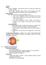 Konspekts 'Atbildes par medicīnas fiziku', 66.