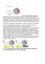 Konspekts 'Atbildes par medicīnas fiziku', 72.