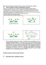 Konspekts 'Atbildes par medicīnas fiziku', 76.