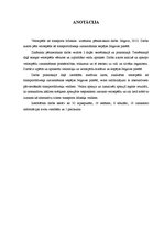 Referāts 'Velosipēds kā transporta līdzeklis', 2.