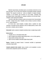 Referāts 'Velosipēds kā transporta līdzeklis', 5.