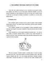 Referāts 'Velosipēds kā transporta līdzeklis', 6.