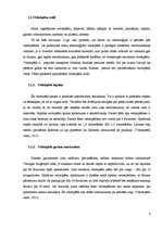 Referāts 'Velosipēds kā transporta līdzeklis', 8.