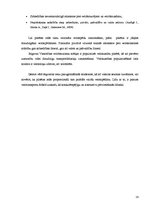 Referāts 'Velosipēds kā transporta līdzeklis', 14.