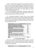 Referāts 'Velosipēds kā transporta līdzeklis', 19.