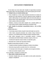 Referāts 'Velosipēds kā transporta līdzeklis', 28.