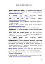 Referāts 'Velosipēds kā transporta līdzeklis', 30.