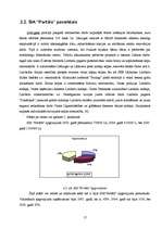 Referāts 'Uzņēmuma izmaksas, to veidi un nozīme', 17.