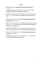 Referāts 'Russian Barents Region', 8.