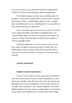 Konspekts 'Filmas "Erina Brokoviča" analīze', 3.