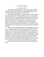 Eseja 'Daces Rukšānes prozas darba "Romāniņš" analīze', 1.