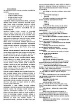 Konspekts 'Revīzija un kontrole', 3.