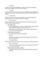 Konspekts 'Industrial Waste', 2.