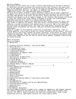 Eseja 'Australian Casino Industry and Competitive Analysis', 1.