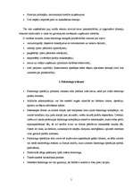 Referāts 'Faktorings', 5.