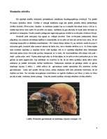 Referāts 'Bipedālās gaitas attīstība', 4.