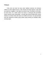 Referāts 'Bipedālās gaitas attīstība', 7.