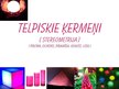Prezentācija 'Telpiskie ķermeņi', 1.