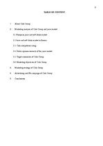 Referāts '"Cido Group" Marketing Analysis', 3.