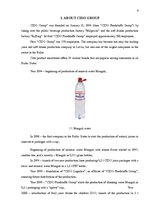 Referāts '"Cido Group" Marketing Analysis', 4.