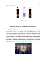 Referāts '"Cido Group" Marketing Analysis', 12.