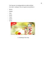 Referāts '"Cido Group" Marketing Analysis', 26.