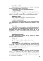 Referāts 'Viesnīca "Latvija"', 10.