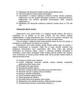 Referāts 'Tirgus līdzsvara stabilitāte', 9.