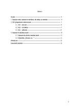 Referāts 'Interaktīvās mācības', 2.