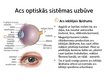 Prezentācija 'Acs optiskā sistēma', 6.