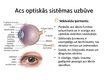 Prezentācija 'Acs optiskā sistēma', 8.