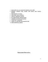 Konspekts 'Ā.Alunāns "Draudzes bazārs"', 11.