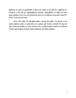 Referāts 'Pirātisms internetā', 7.