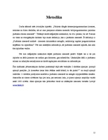 Referāts 'Pirātisms internetā', 12.