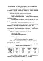 Referāts 'Uzņēmuma finansiālās stabilitātes kontroles formas un finanšu risku pārvaldība', 5.