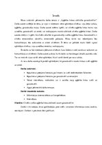 Referāts 'Apģērba krāsas atbilstība garastāvoklim', 6.