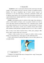 Referāts 'Apģērba krāsas atbilstība garastāvoklim', 11.